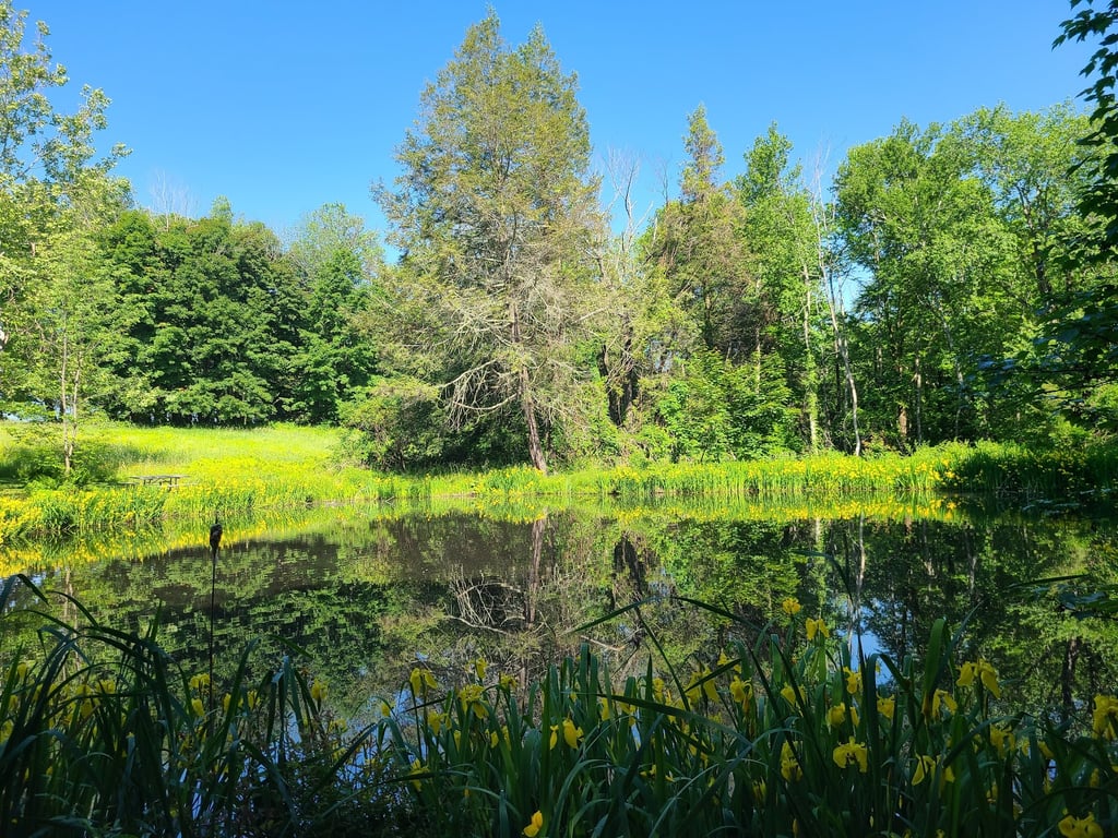 Topsmead State Forest