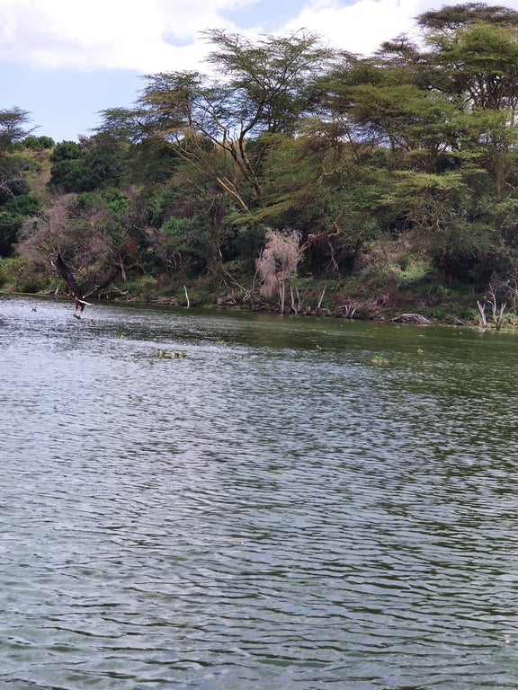 Crescent Island