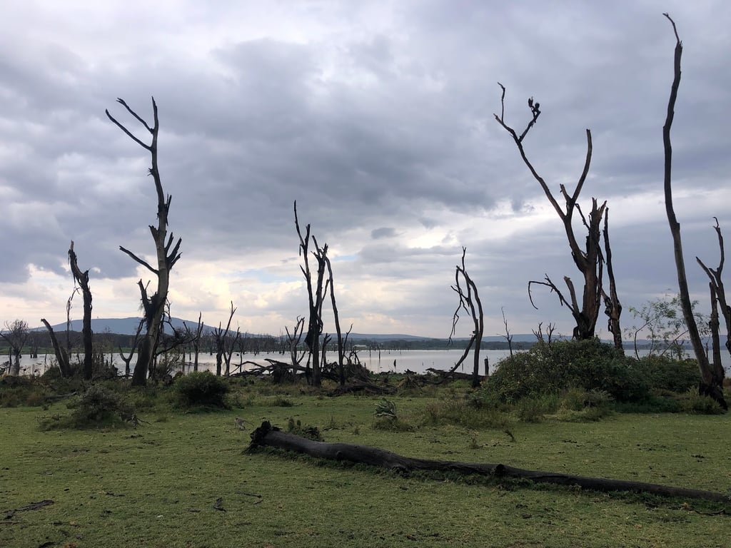 Crescent Island