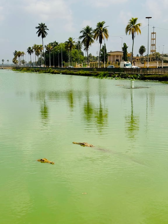 Crocodile Lake
