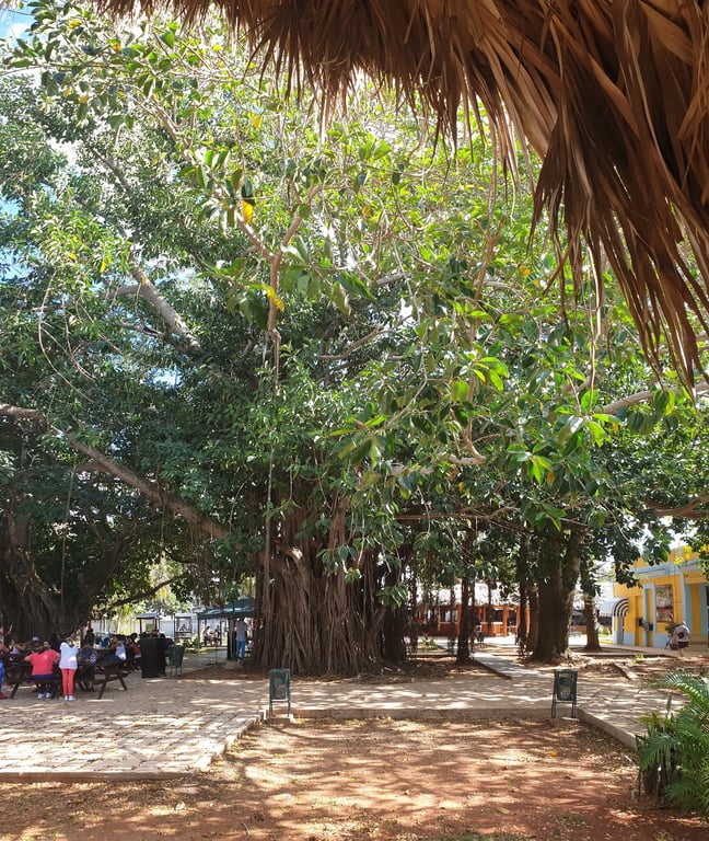 Cuevas de Bellamar