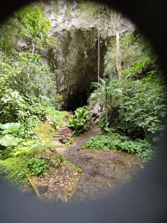 Cueva del Guácharo