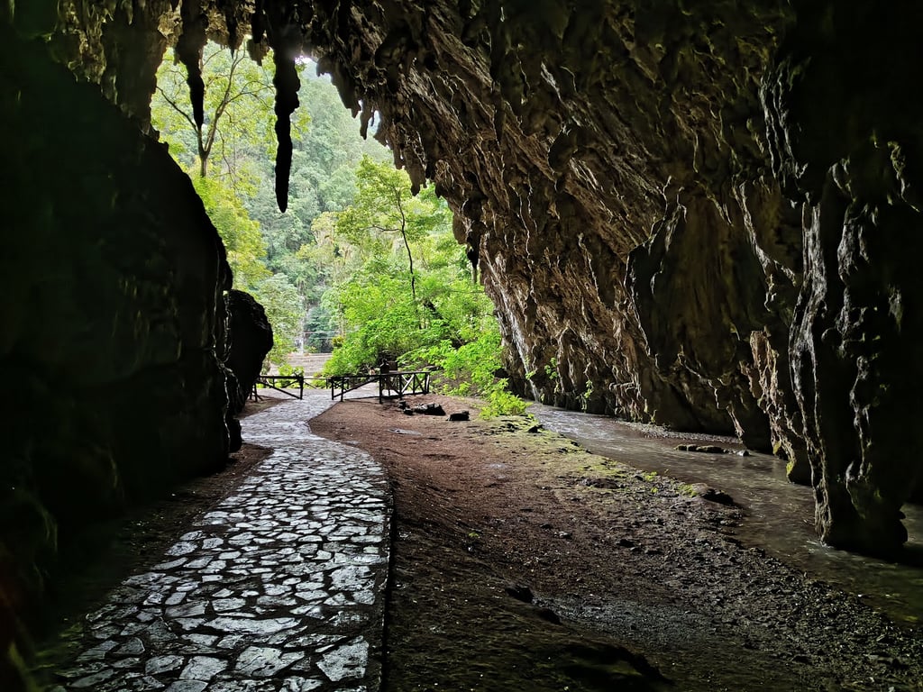 Cueva del Guácharo