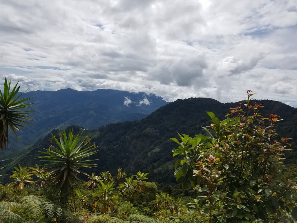 Cusuco National Park