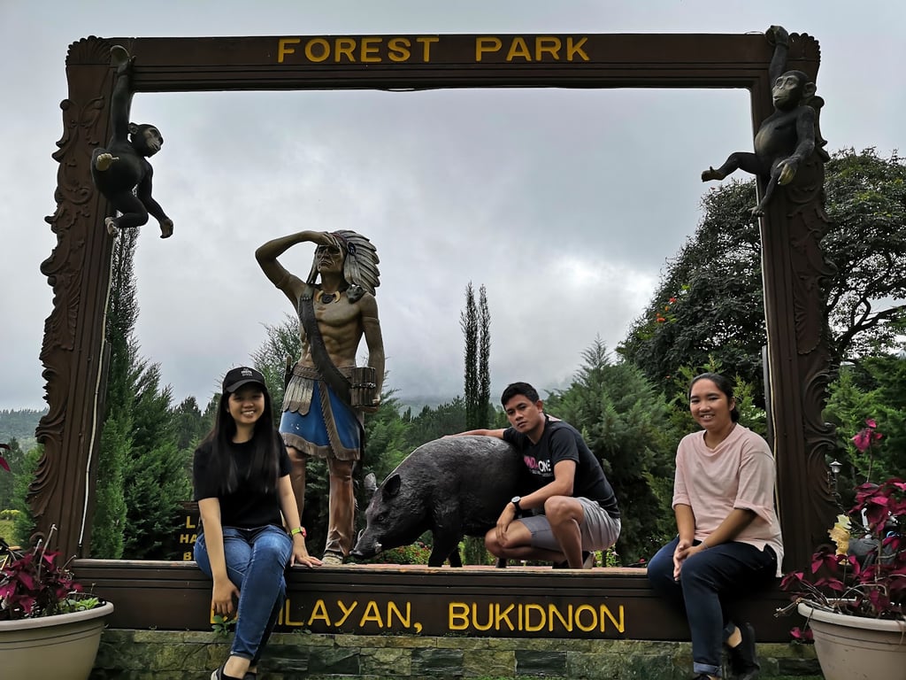 Dahilayan Zipline Park
