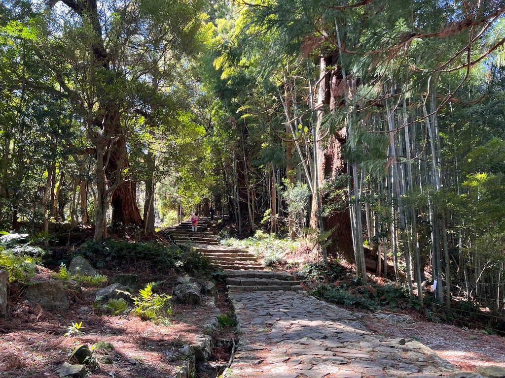 Daimonzaka Mossy Stairway