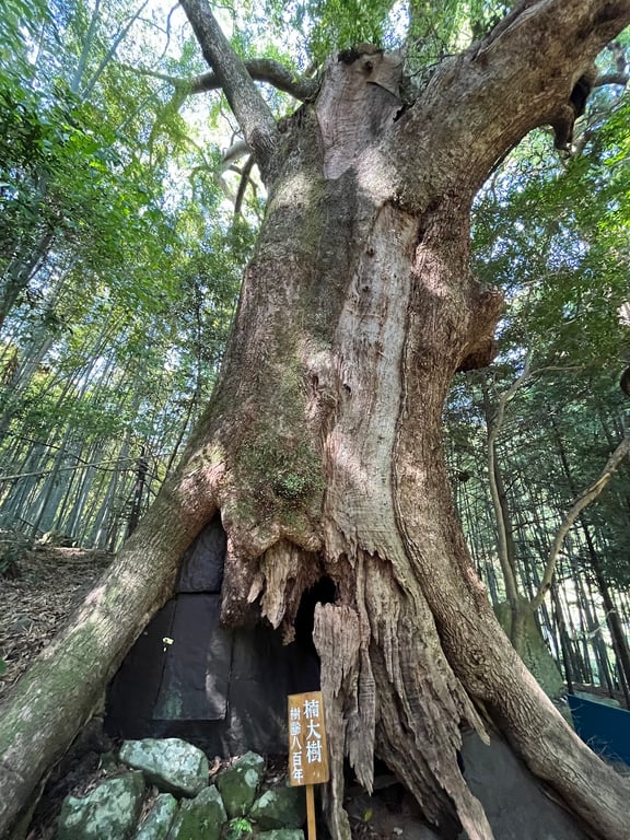 Daimonzaka Mossy Stairway