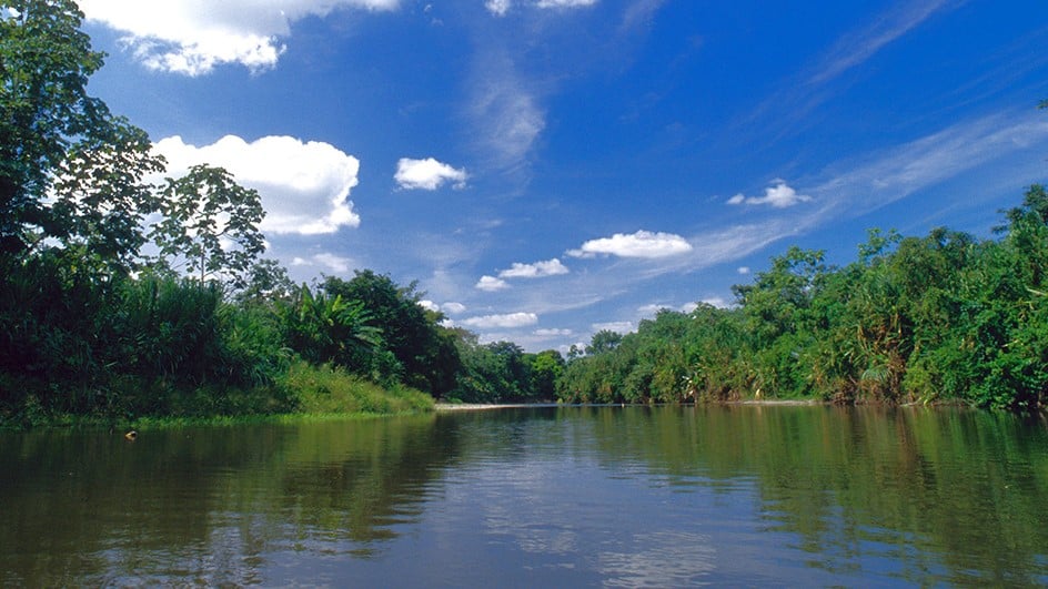 Darién NP