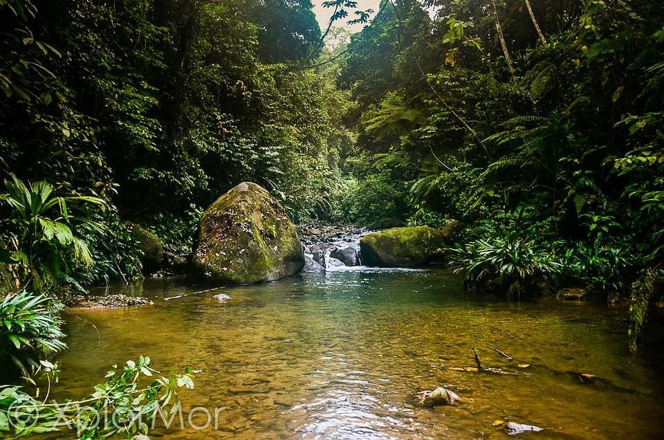Darién NP