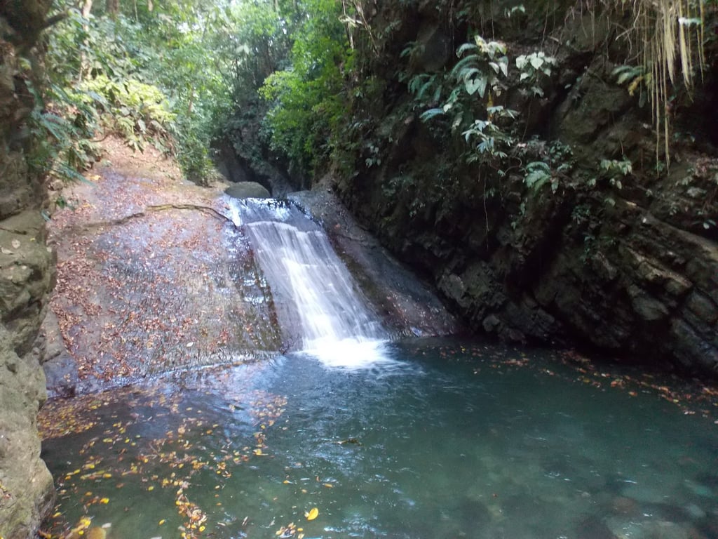 Darién NP
