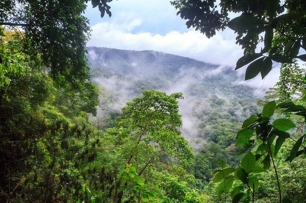 Darién NP