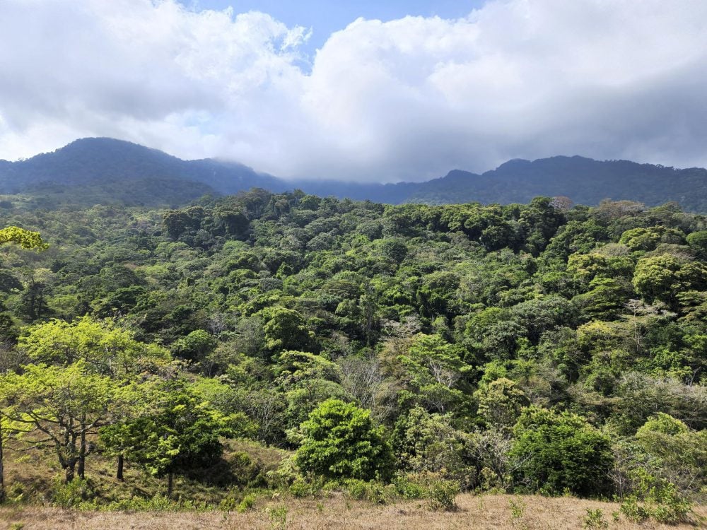 Darién NP