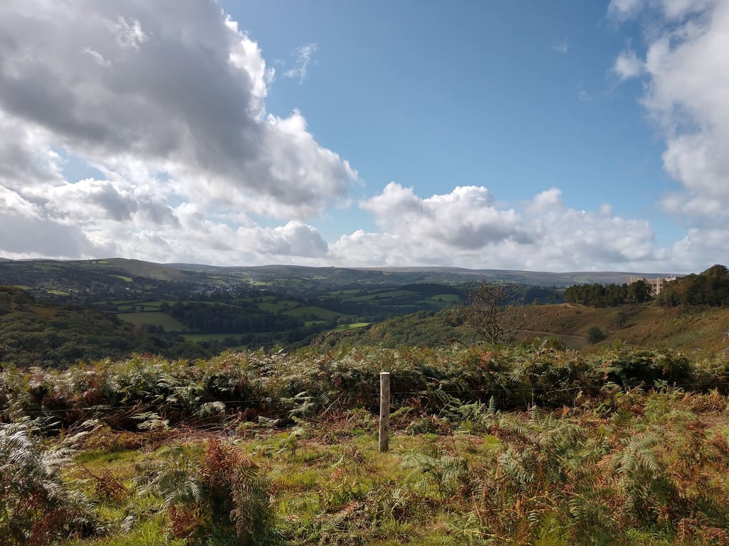 Dartmoor National Park