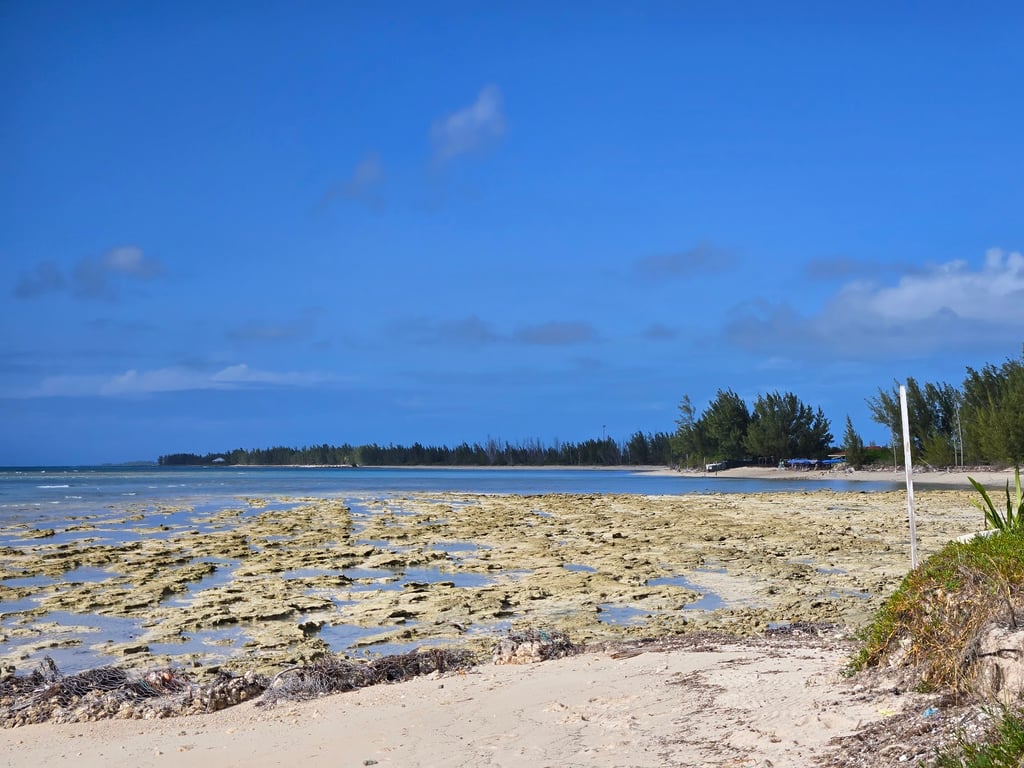 Deadman’s Reef (Paradise Cove)