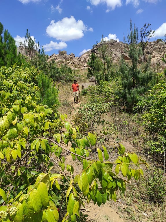 Dedza Mountain & Pottery