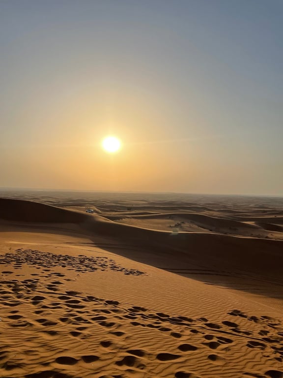 Desert Dune Safari