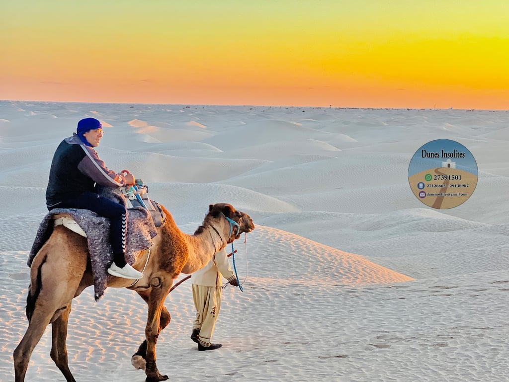Desert Dune Camp