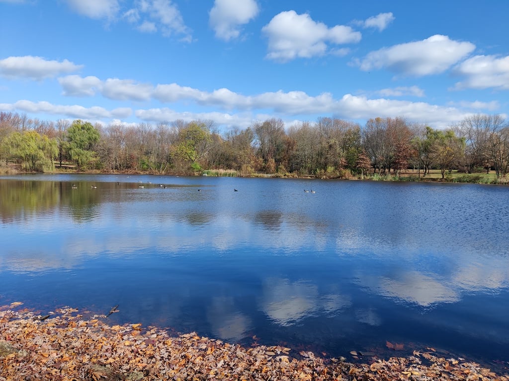 Bellevue State Park