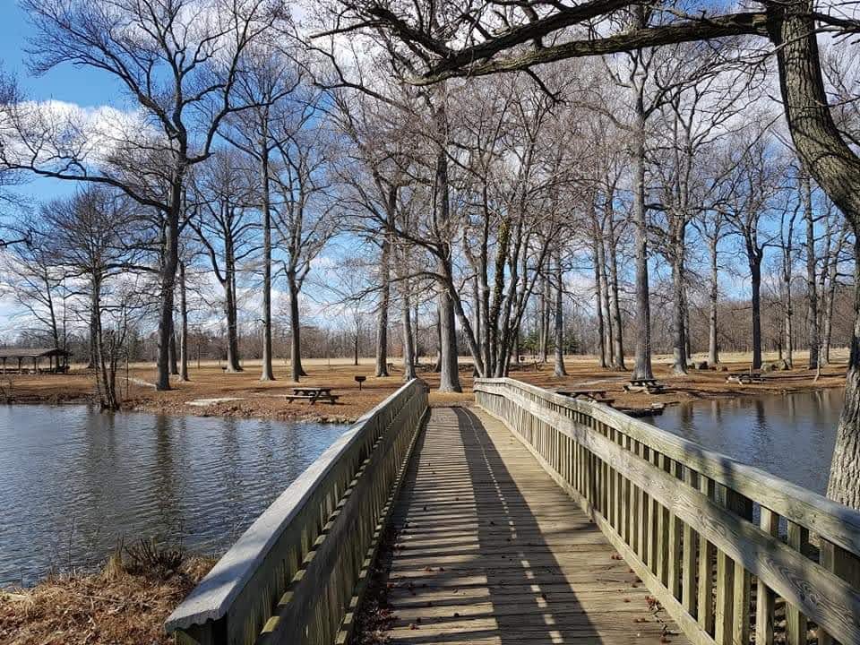 Bellevue State Park
