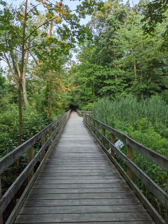 Big Oak County Park