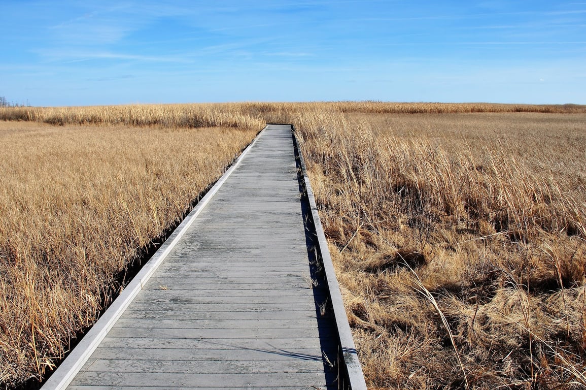 Bombay Hook National Wildlife Refuge