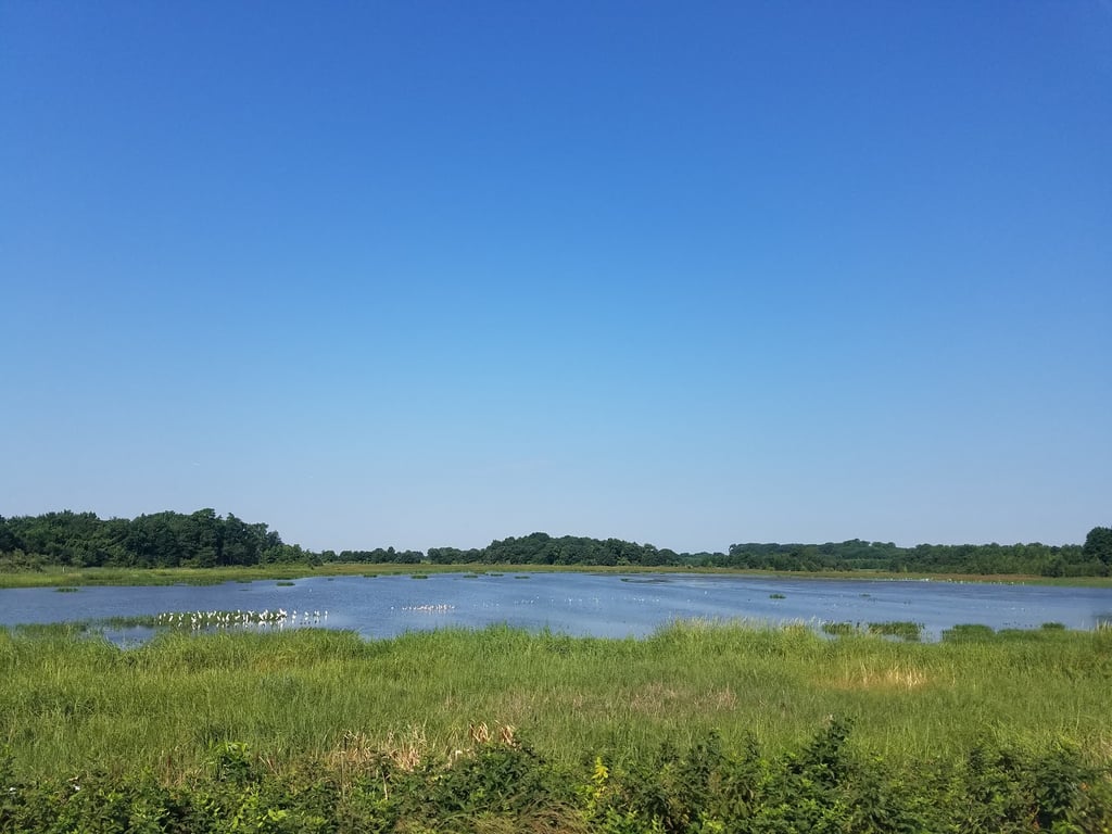 Bombay Hook National Wildlife Refuge
