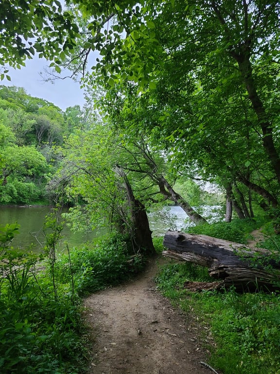Brandywine Creek State Park