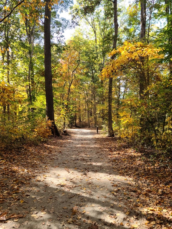 Brecknock County Park