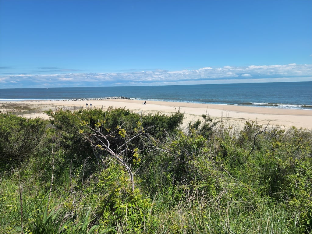 Cape Henlopen State Park