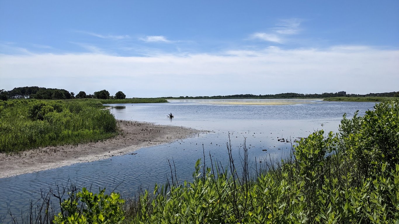 Gordon's Pond Wildlife Area