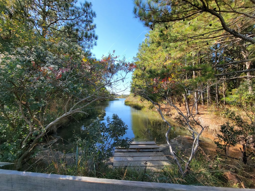 Gordon's Pond Wildlife Area