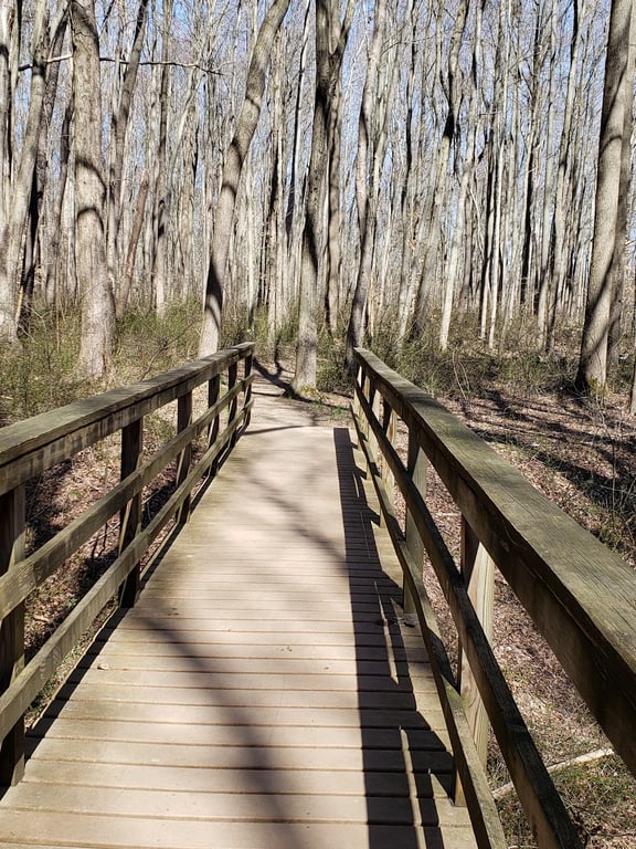 Lums Pond State Park