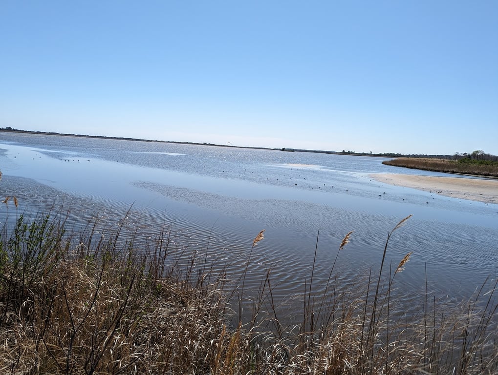 Prime Hook National Wildlife Refuge