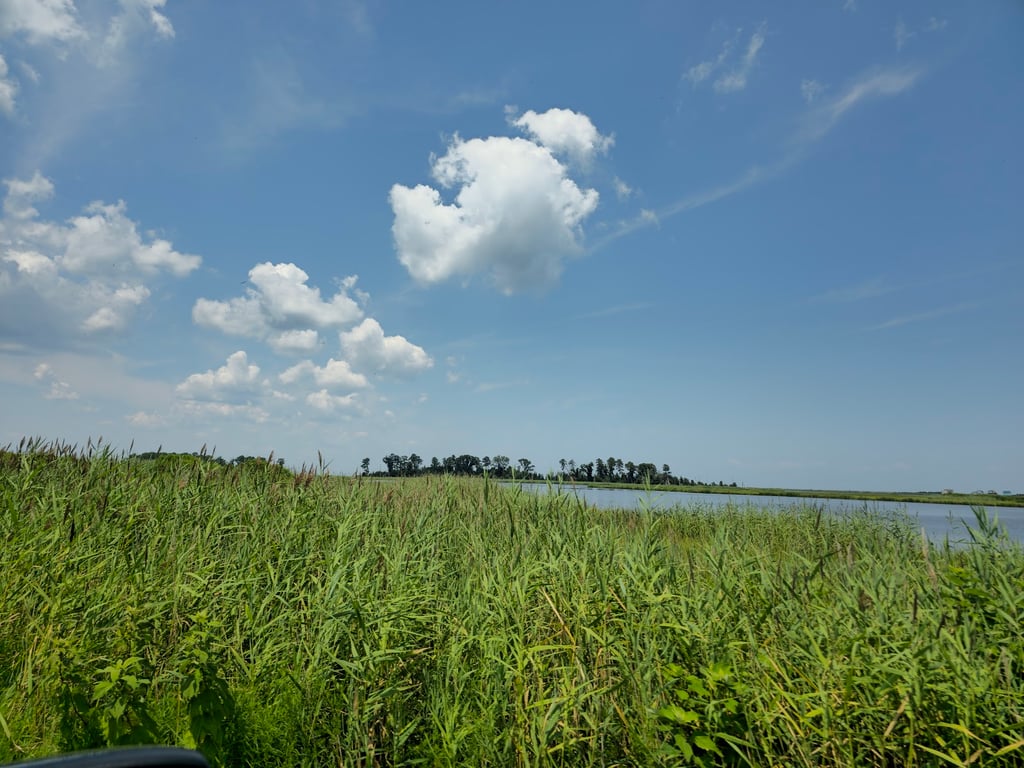 Prime Hook National Wildlife Refuge