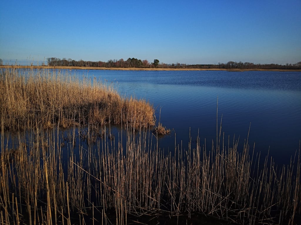 Prime Hook National Wildlife Refuge