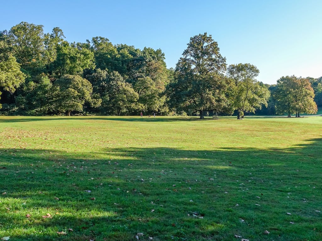 Rockford Park & Tower