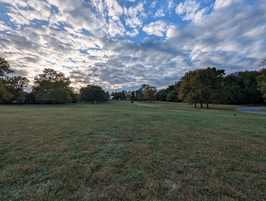 Rockford Park & Tower