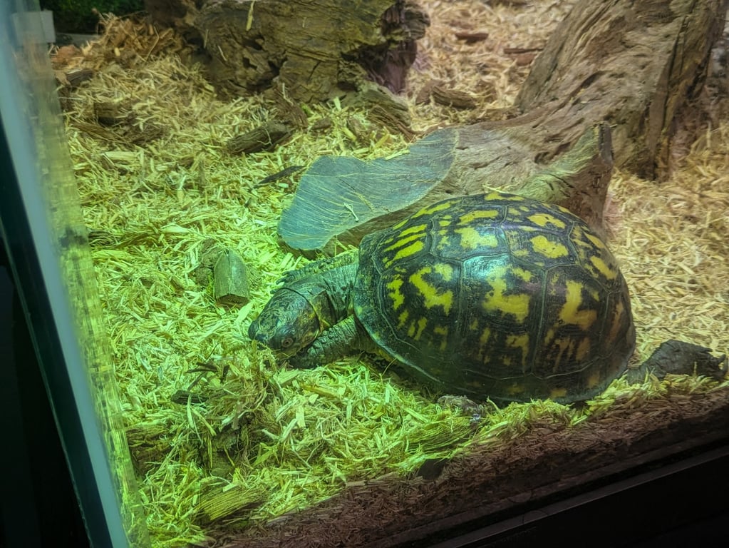 Seaside Nature Center