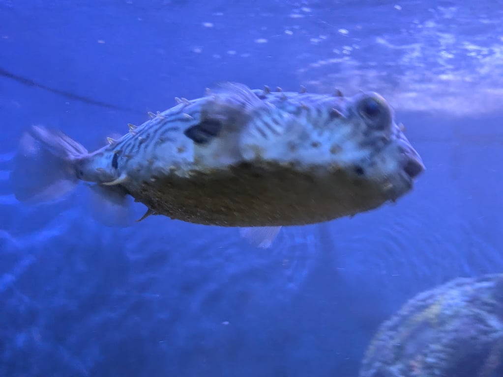 Seaside Nature Center