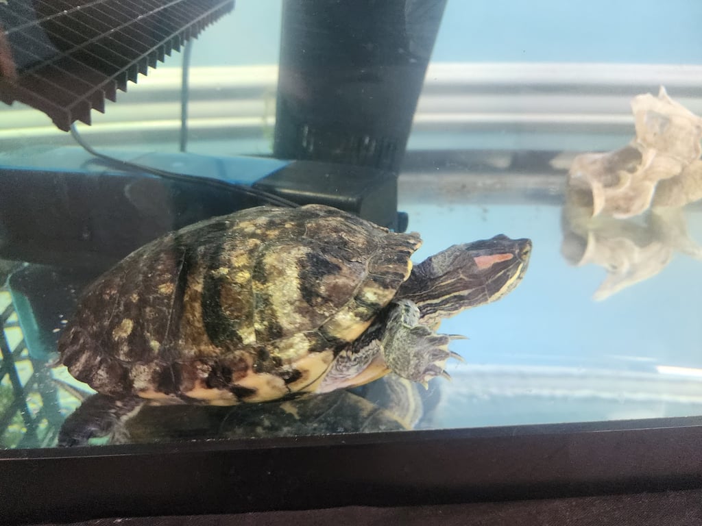 Seaside Nature Center