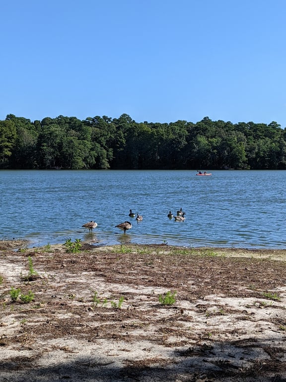 Trap Pond canoe trail