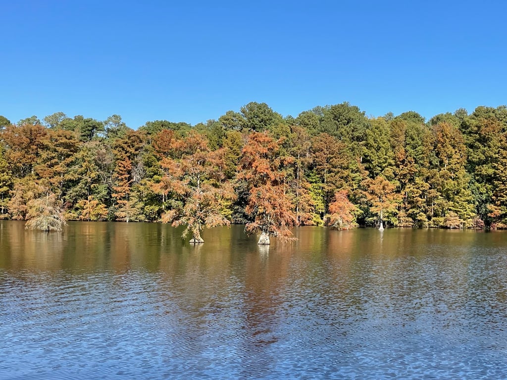 Trap Pond canoe trail