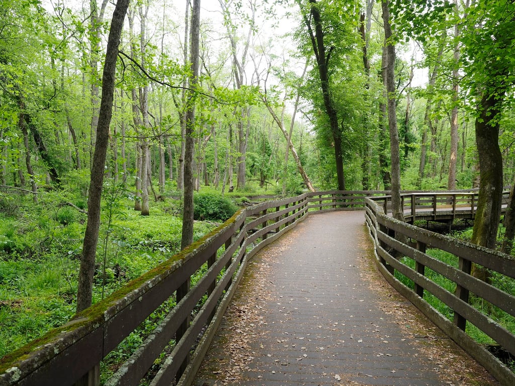Trap Pond canoe trail