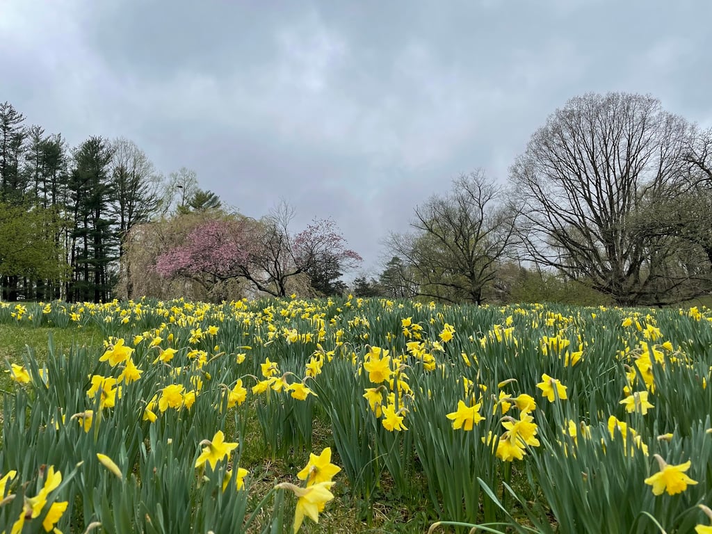 Valley Garden Park