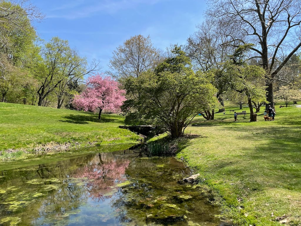 Valley Garden Park