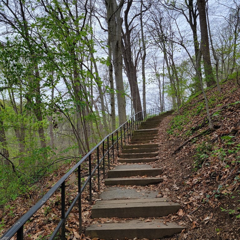 Valley Garden Park