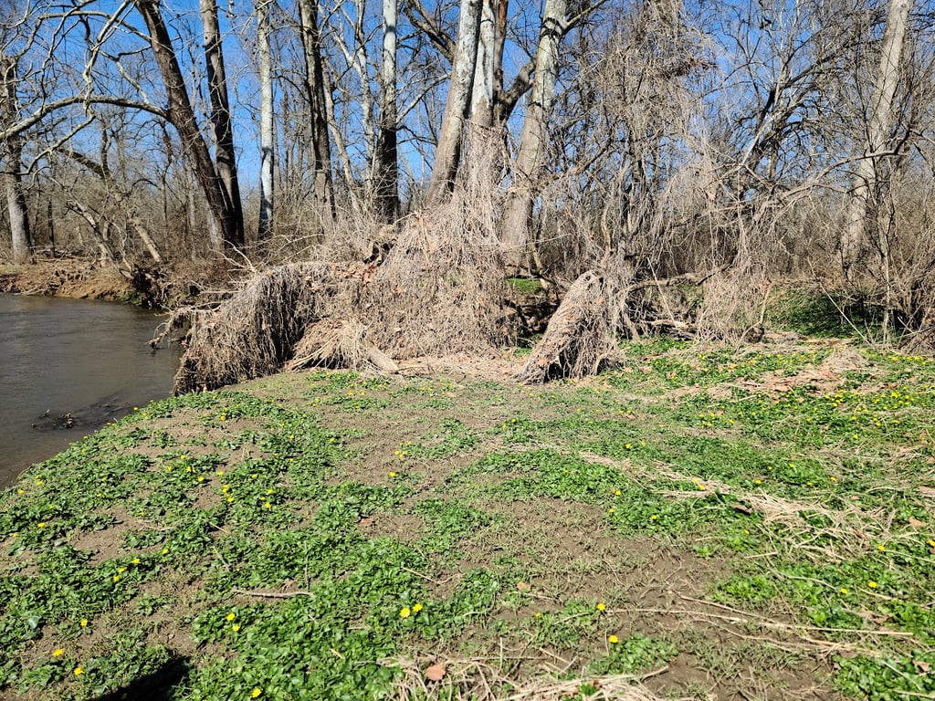White Clay Creek State Park