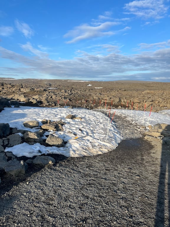 Dettifoss Waterfall