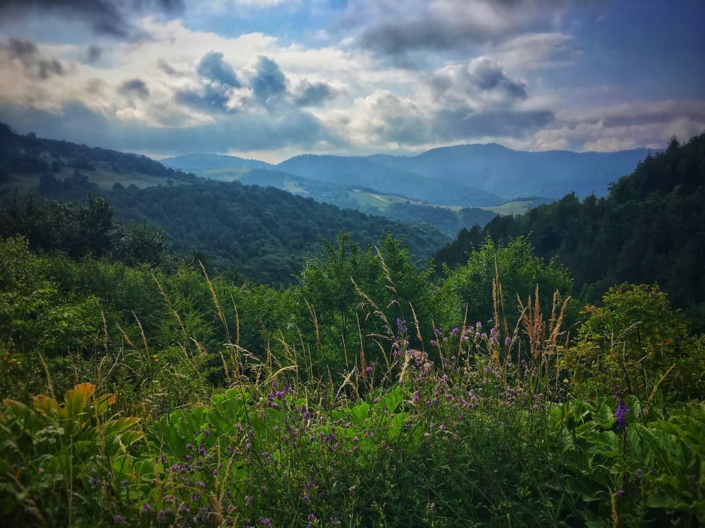 Dilijan National Park