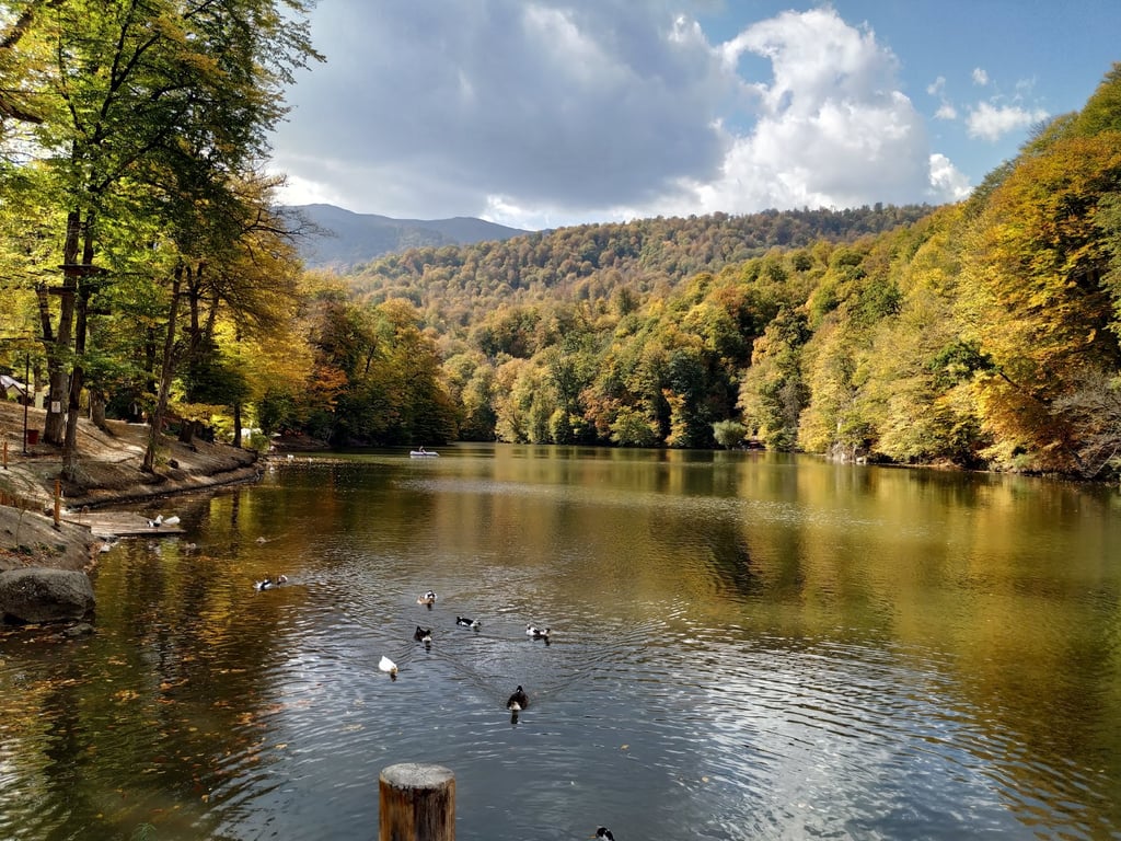 Dilijan National Park